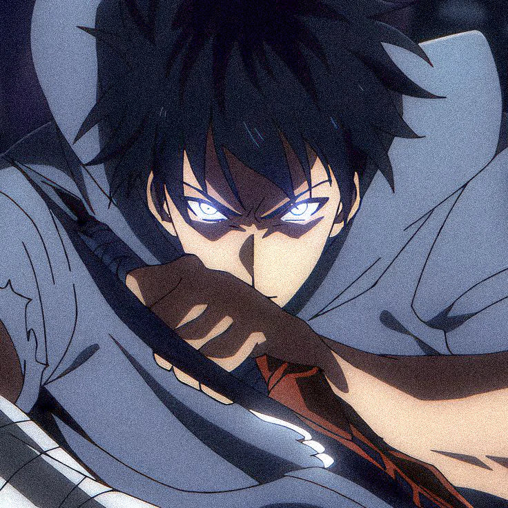 Solo Leveling Slim Phone Cases